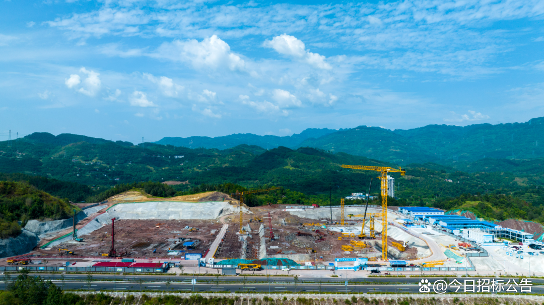 1704184157385779.png e2954faf93791b79ab1124362b954a1d.png