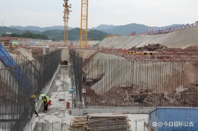 1704185602915113.jpg 9f510fb30f2442a731cb169e8bc06547d0130250.webp.jpg