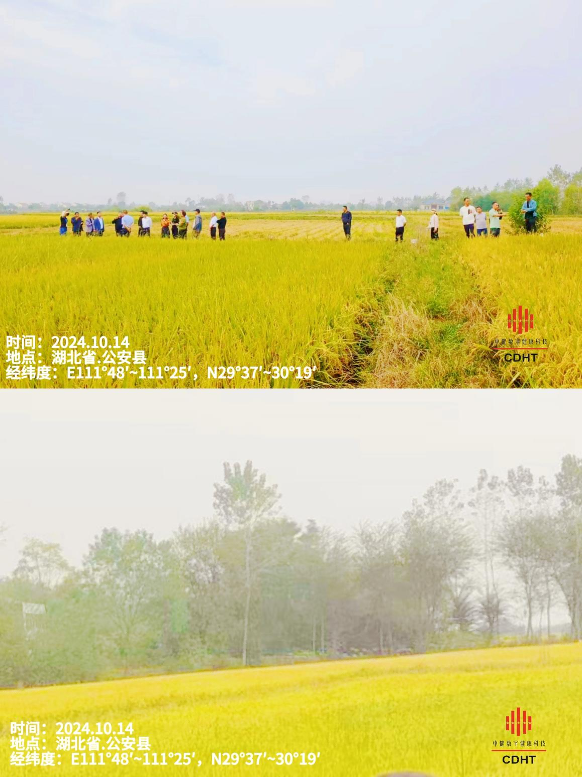 1728976931576066.png 圖片1(1).png