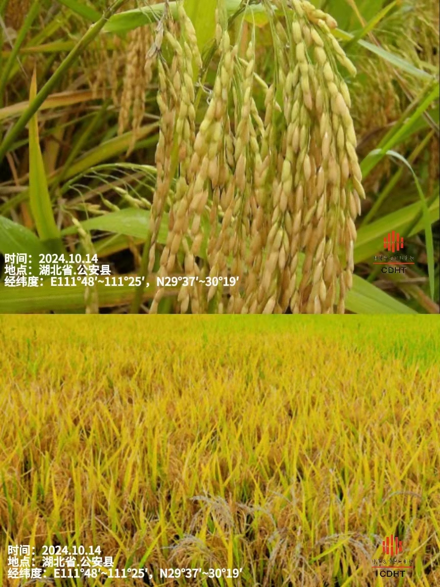 1728976981130308.png 3(1).png