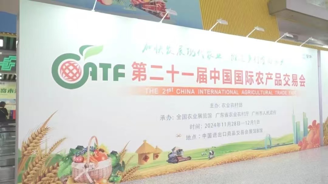 1733282376134827.jpg 1.jpg